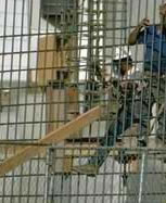 Employers liability workers