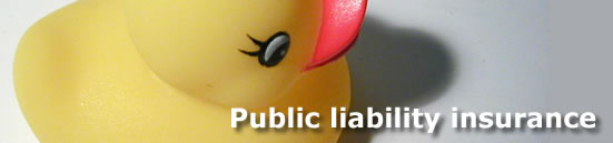 Public liability insurance